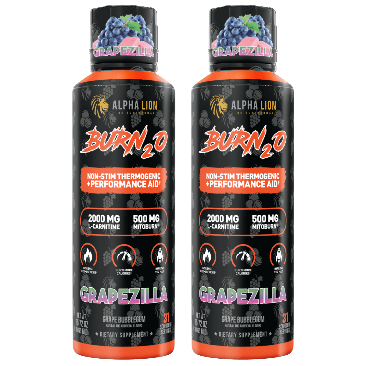 BURN2O - Image 14