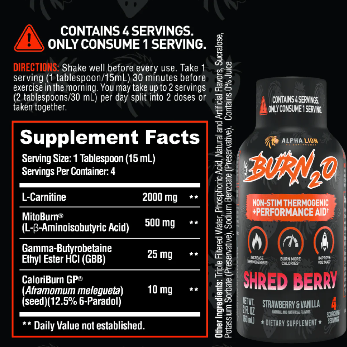 BURN2O Sample - Image 5