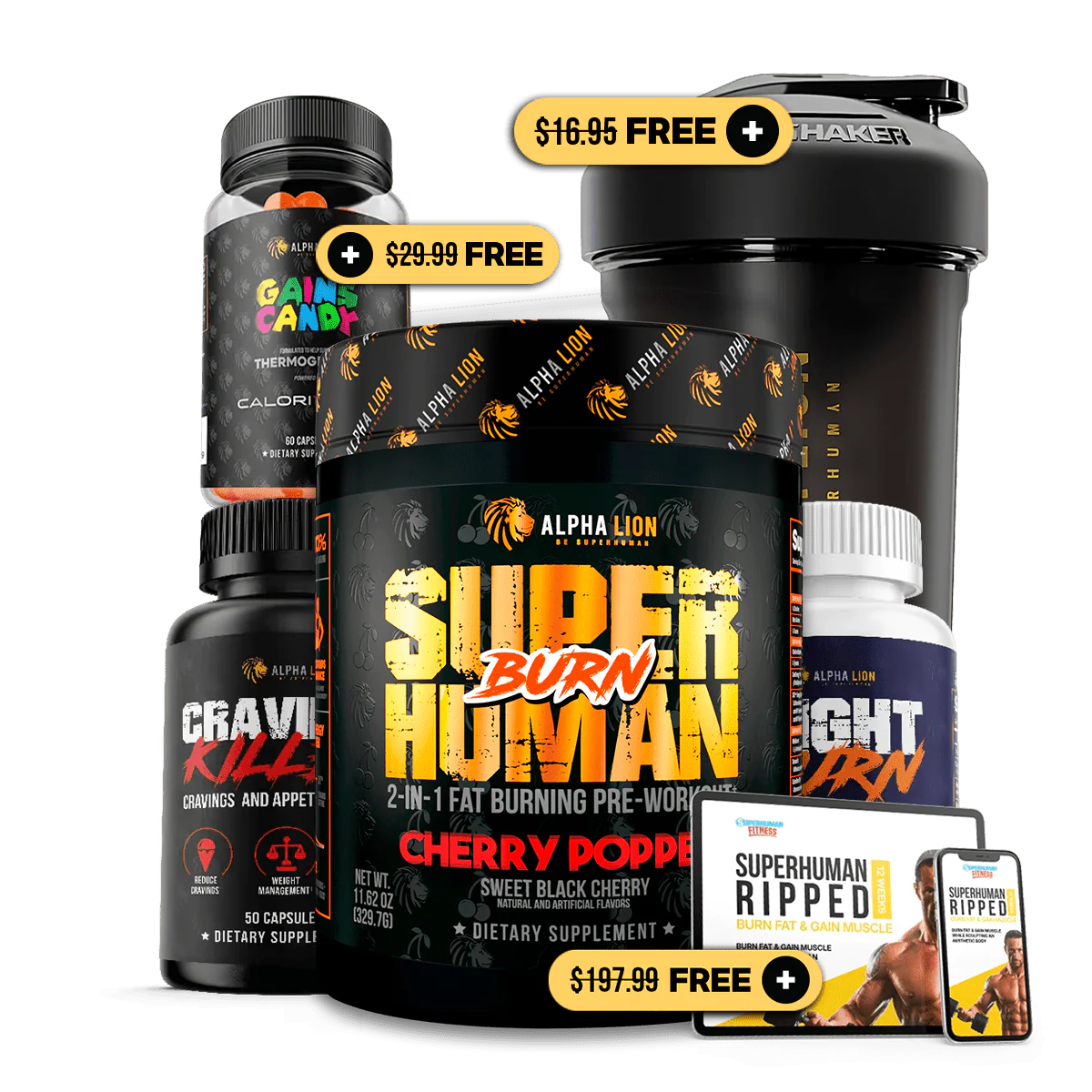 DAD BOD DESTROYER STACK - Image 5