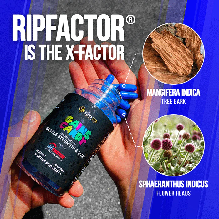 GAINS CANDY™ RIPFACTOR®  - Increase Muscle Strength & Size† - Image 5