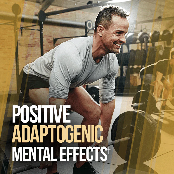 GAINS CANDY™ TURKESTERONE®  - More Muscle Strength and Size† - Image 5