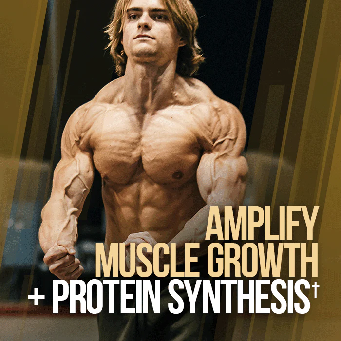 GAINS CANDY™ TURKESTERONE®  - More Muscle Strength and Size† - Image 8