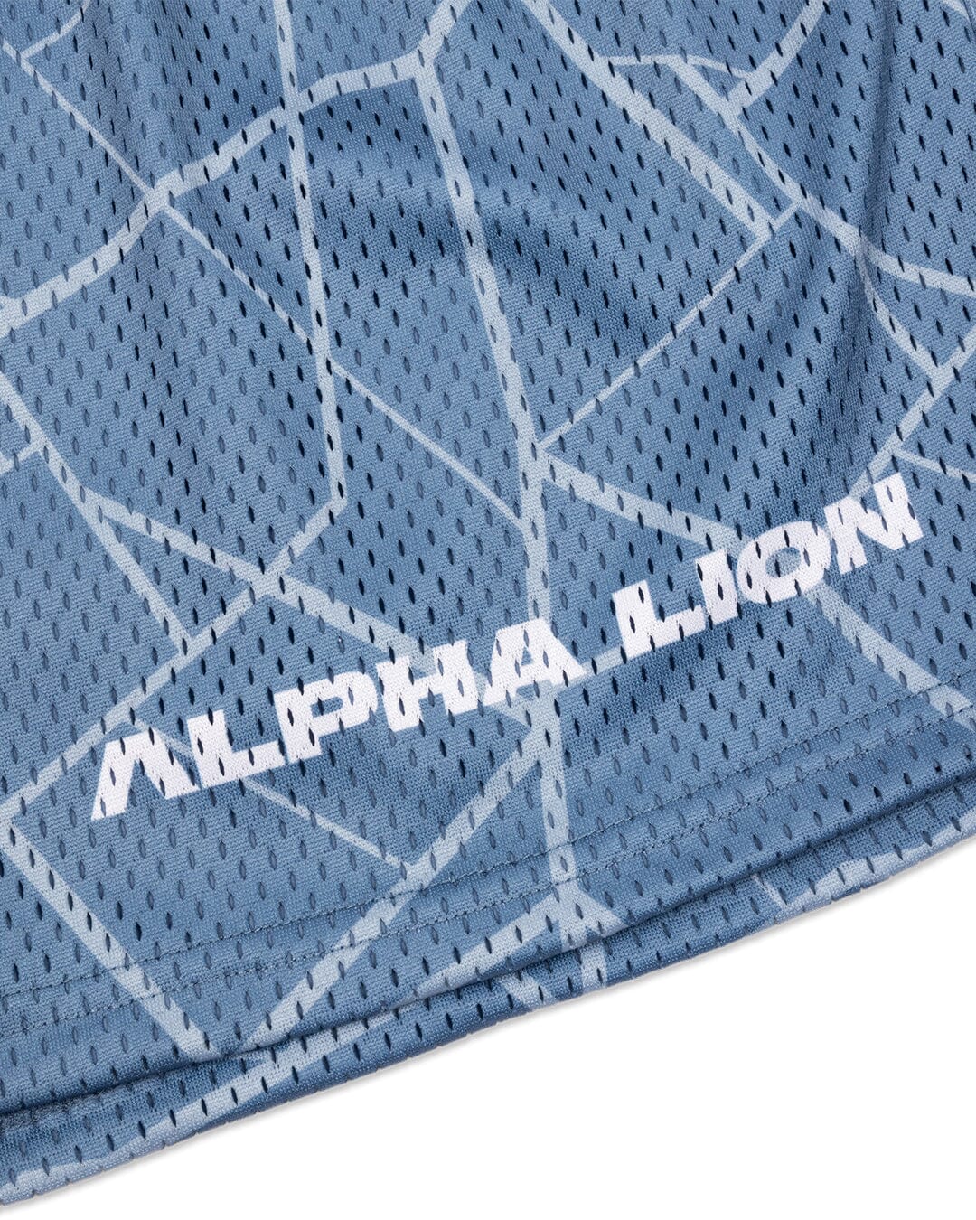 Legacy Mesh Shorts | "Cracked" - Image 10