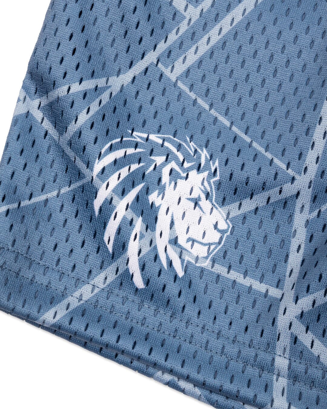 Legacy Mesh Shorts | "Cracked" - Image 11