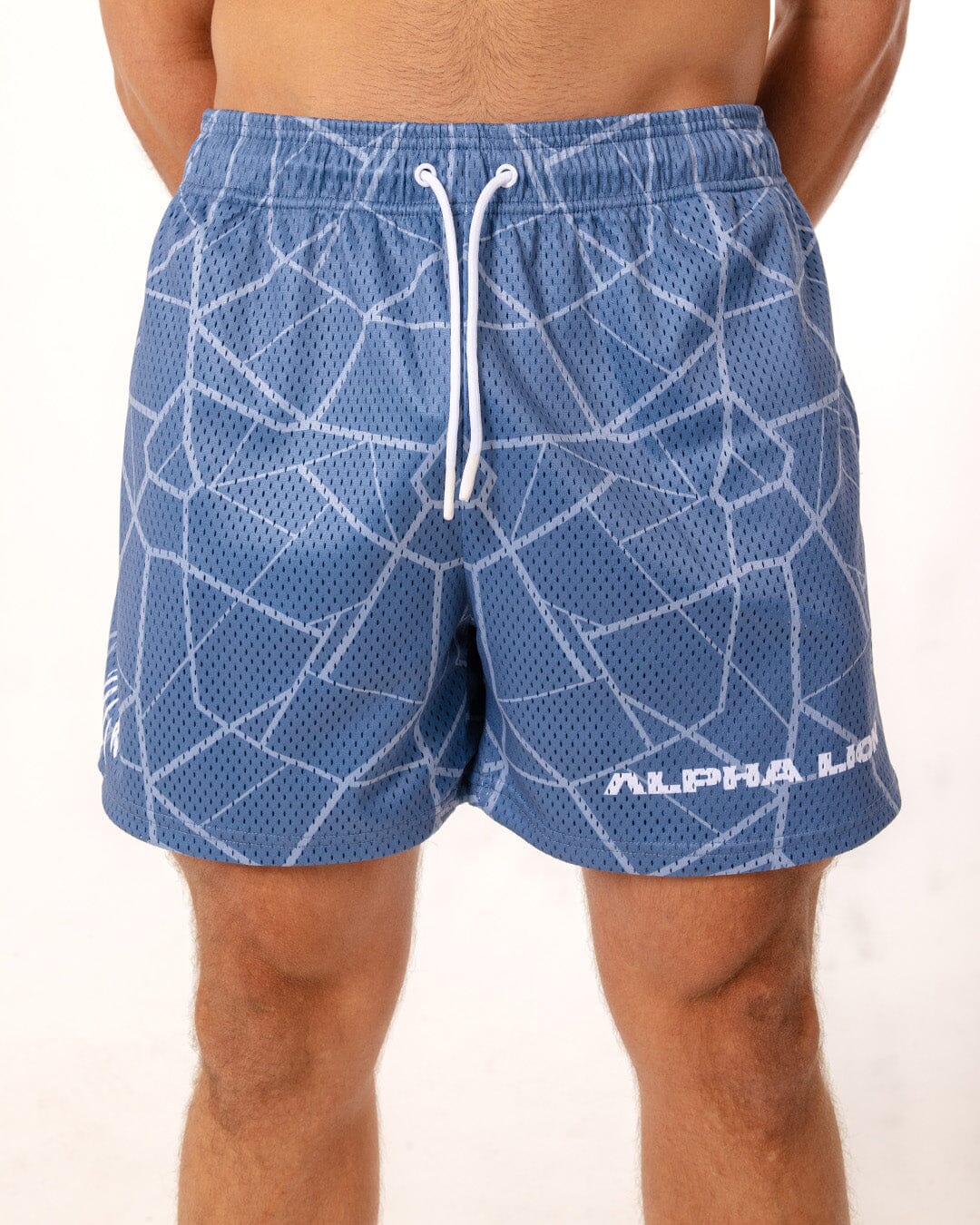 Legacy Mesh Shorts | "Cracked" - Image 12