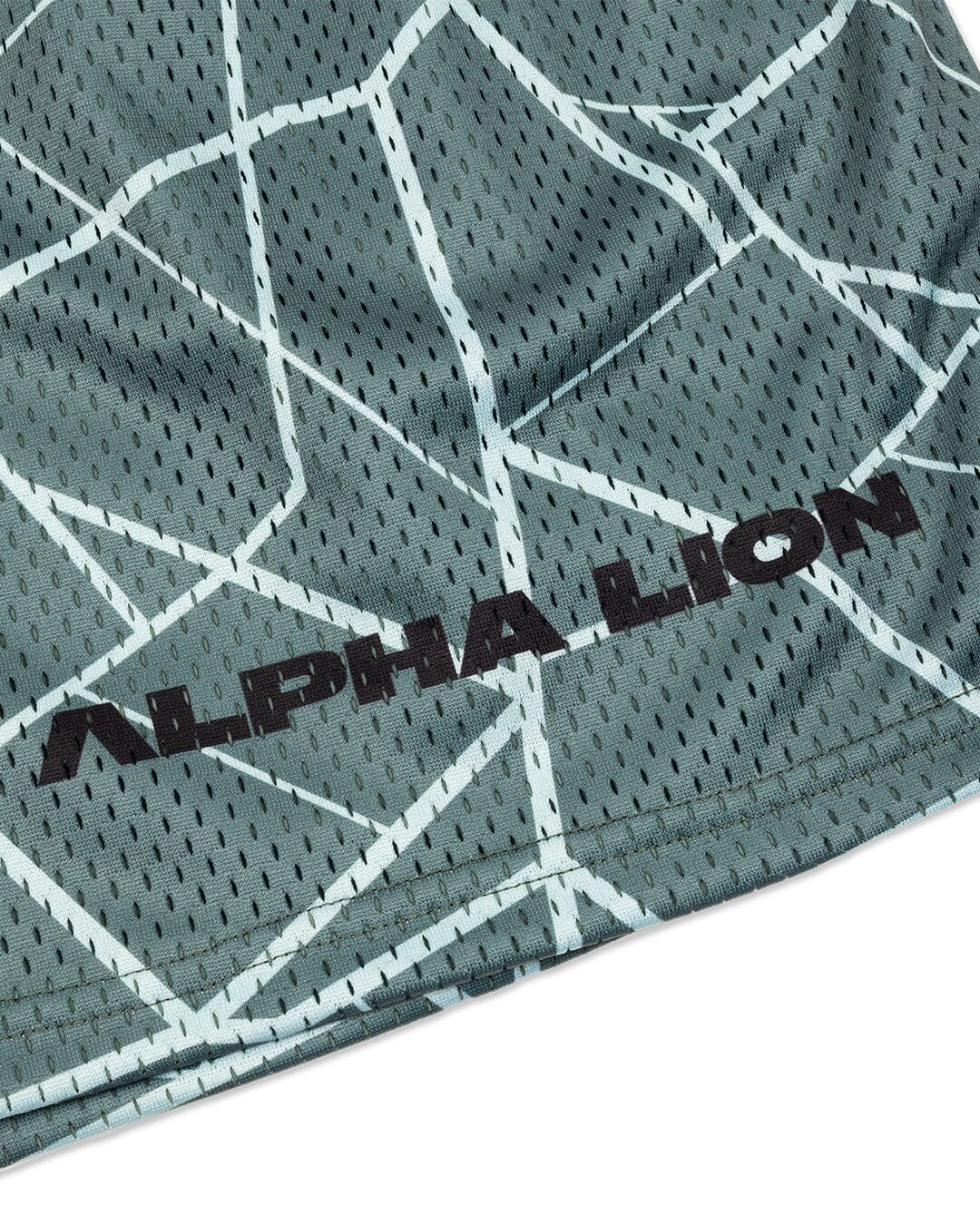 Legacy Mesh Shorts | "Cracked" - Image 23