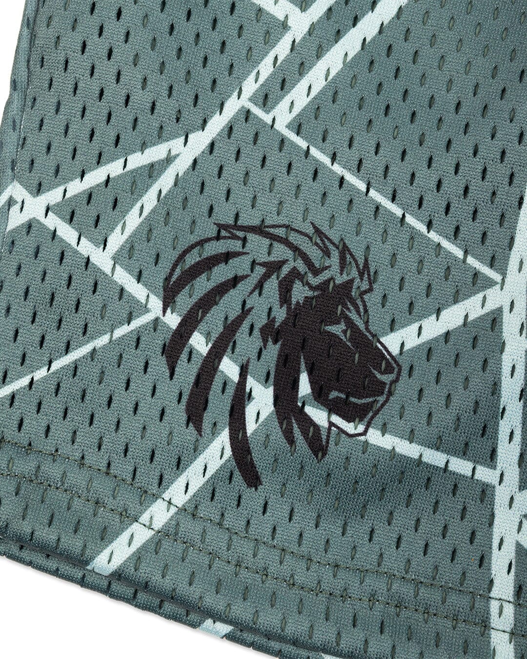 Legacy Mesh Shorts | "Cracked" - Image 24