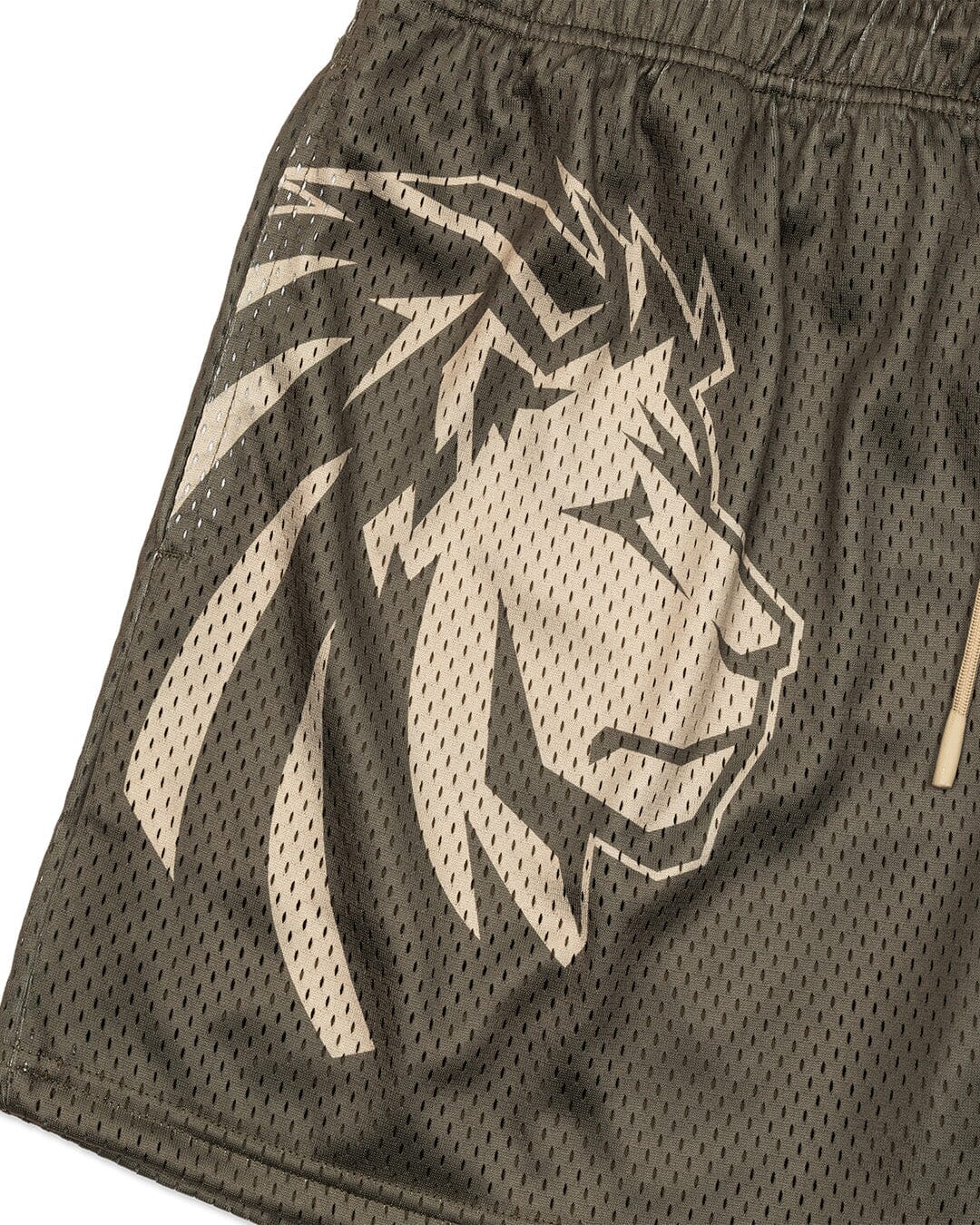 Legacy Mesh Shorts | "Iconic" - Image 3