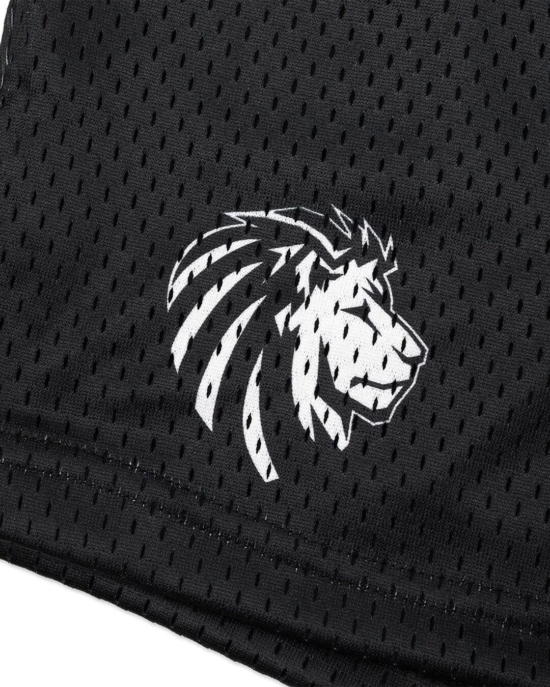Legacy Mesh Shorts | "Varsity" - Image 11