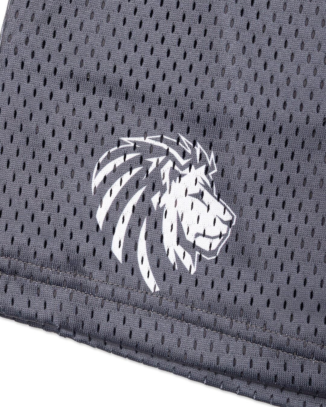 Legacy Mesh Shorts | "Varsity" - Image 18