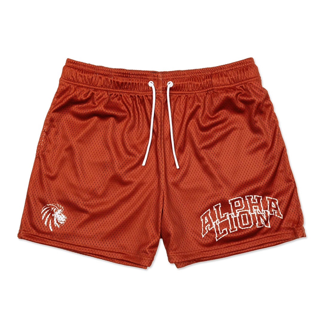 Legacy Mesh Shorts | "Varsity" - Image 23