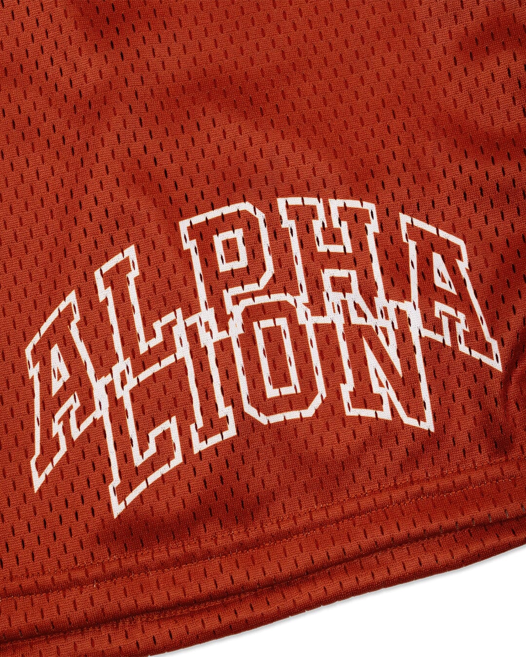 Legacy Mesh Shorts | "Varsity" - Image 24