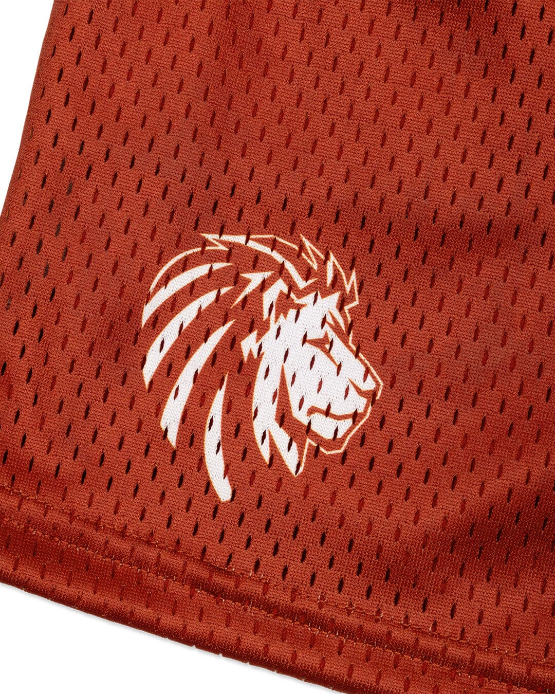 Legacy Mesh Shorts | "Varsity" - Image 25