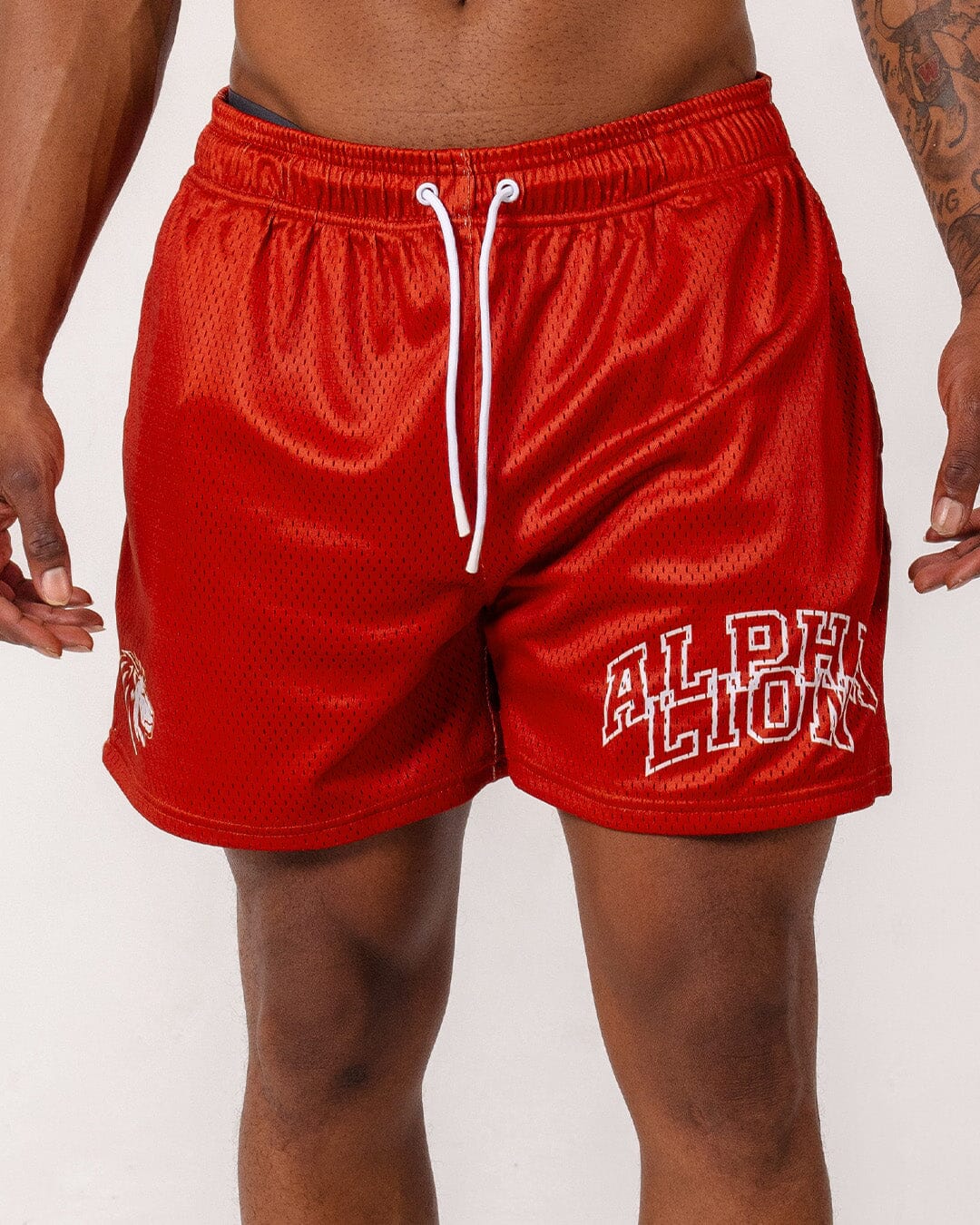 Legacy Mesh Shorts | "Varsity" - Image 26