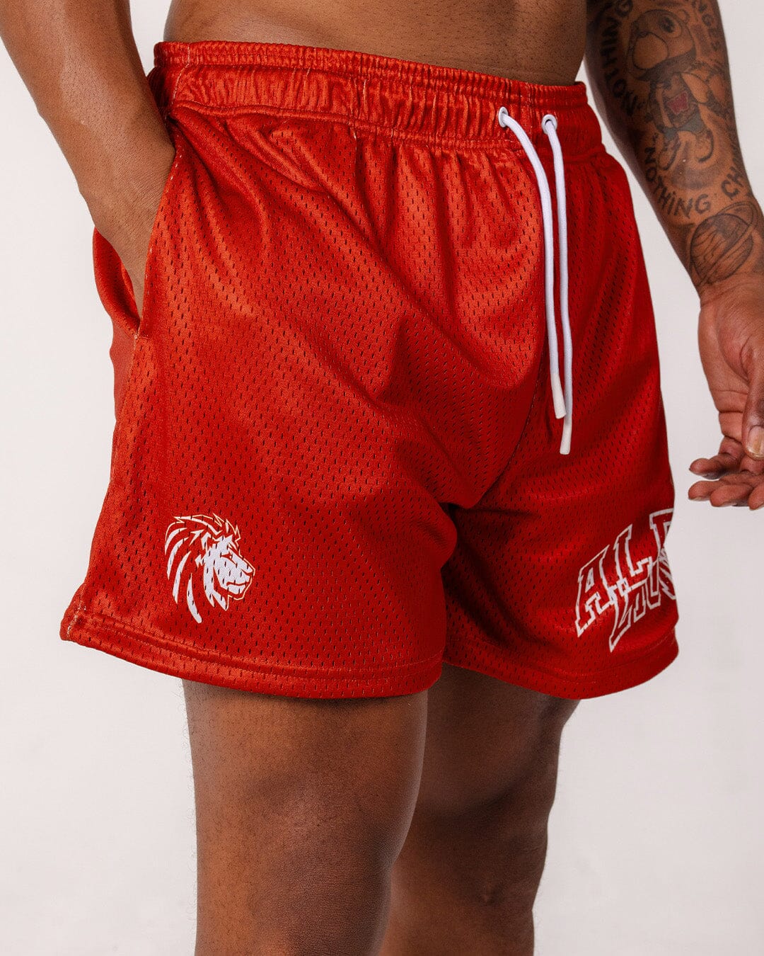 Legacy Mesh Shorts | "Varsity" - Image 28