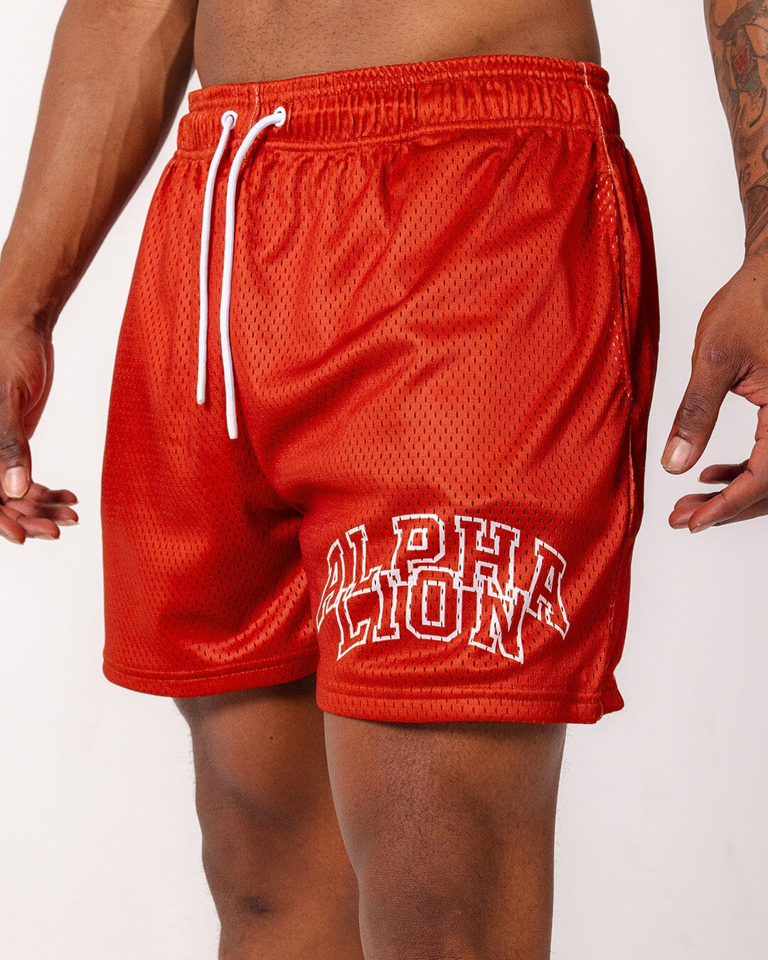 Legacy Mesh Shorts | "Varsity" - Image 29