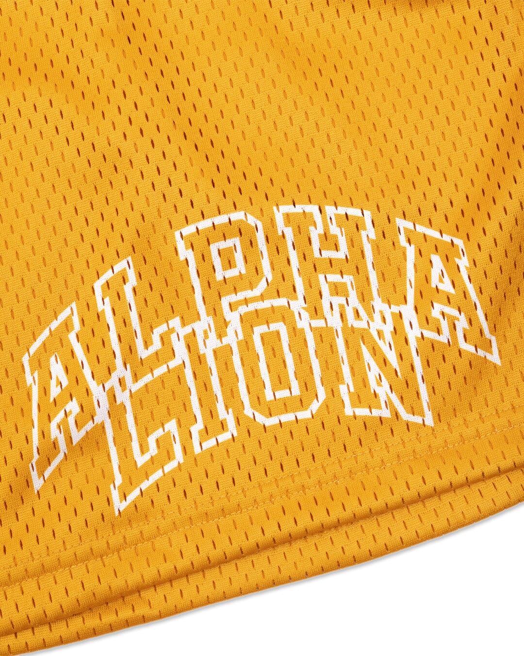 Legacy Mesh Shorts | "Varsity" - Image 3