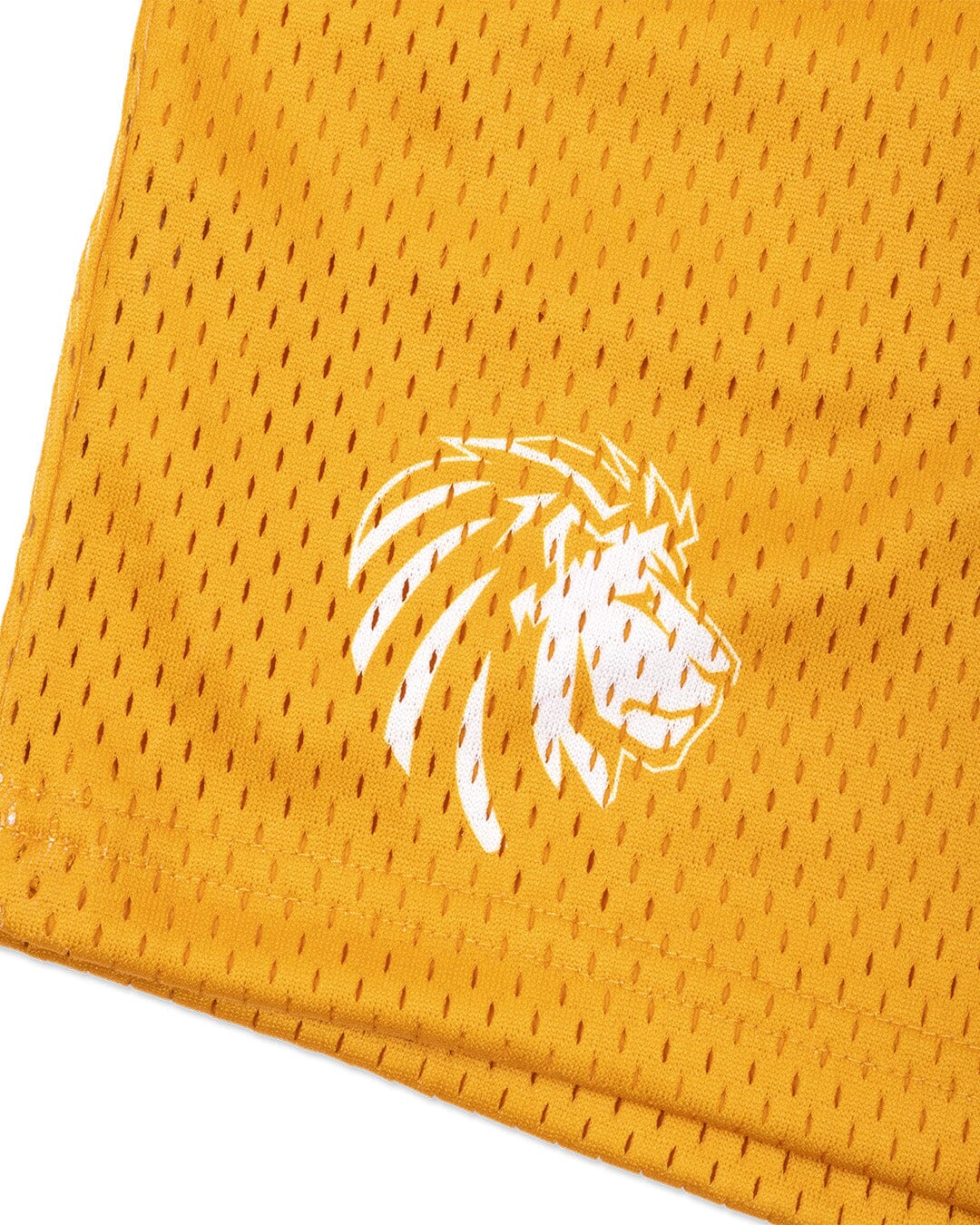 Legacy Mesh Shorts | "Varsity" - Image 4