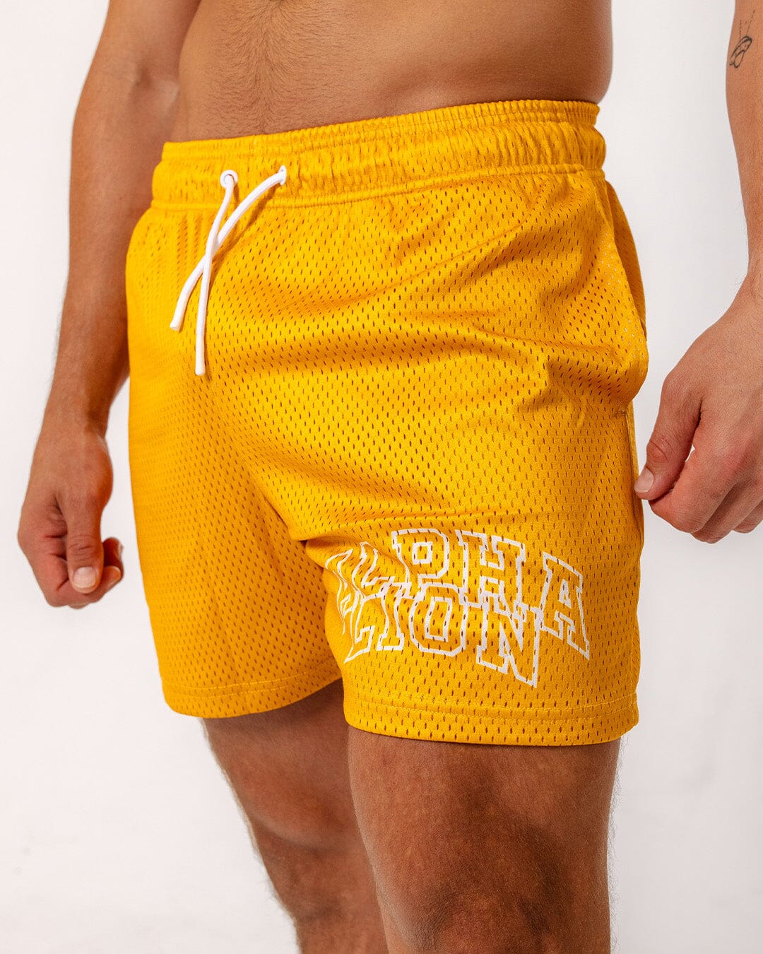 Legacy Mesh Shorts | "Varsity" - Image 6