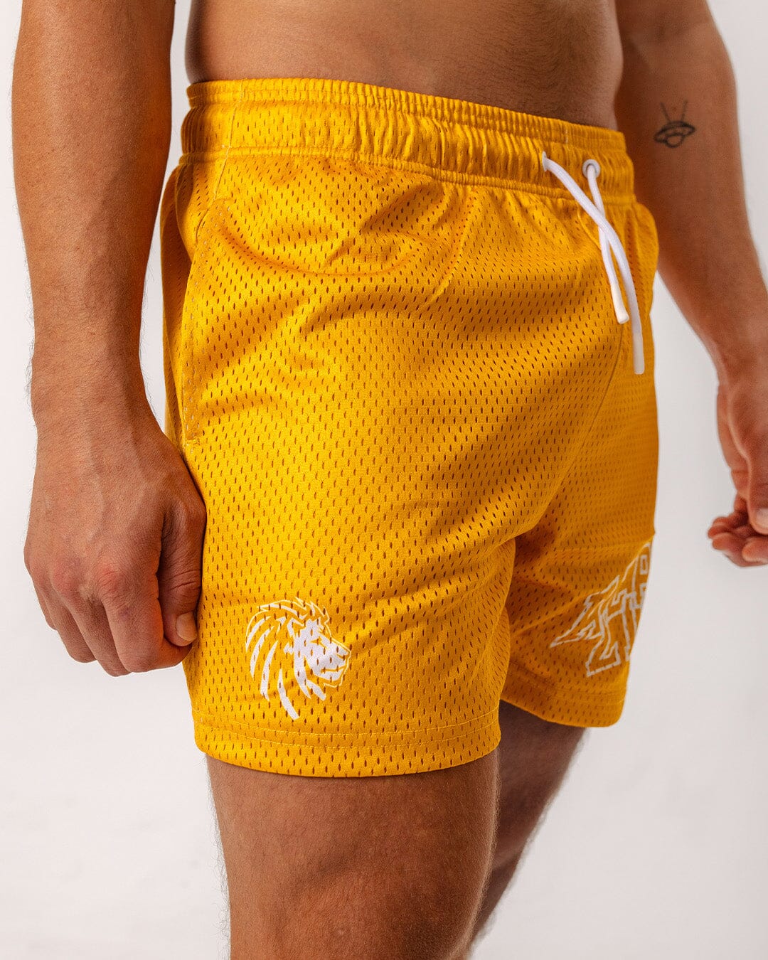 Legacy Mesh Shorts | "Varsity" - Image 7