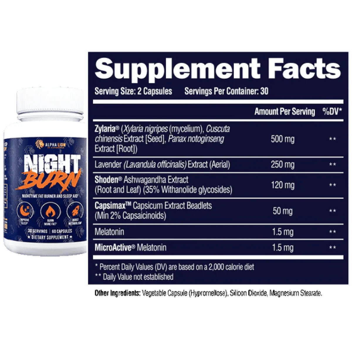 NIGHT BURN - Nighttime Fat Burner NL x1 - Image 5