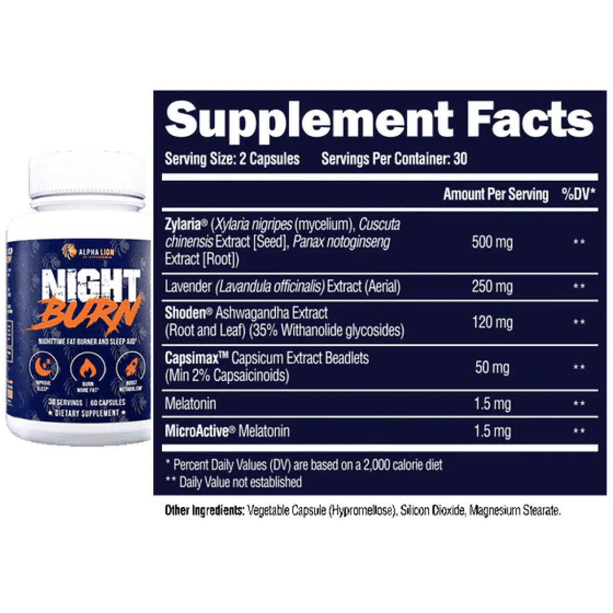 NIGHT BURN - Nighttime Fat Burner NL x3 - Image 5