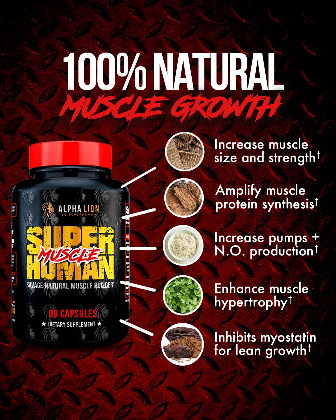 SUPERHUMAN MUSCLE - Natural Muscle Builder - Image 5